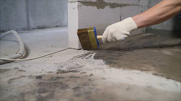 Top rated local Emergency Waterproofing specialists in Van Dyne, WI